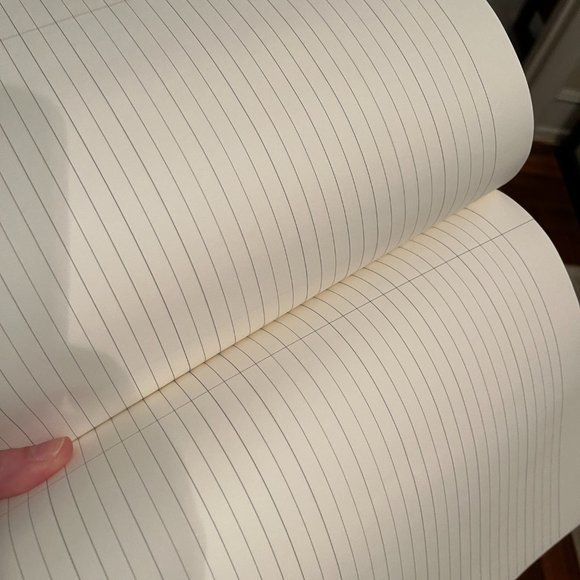 Lined Writing Journal - Working on My‎ Best Seller - Picture 8 of 8
